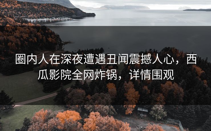 圈内人在深夜遭遇丑闻震撼人心，西瓜影院全网炸锅，详情围观