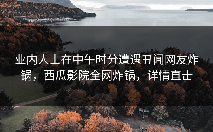 业内人士在中午时分遭遇丑闻网友炸锅，西瓜影院全网炸锅，详情直击