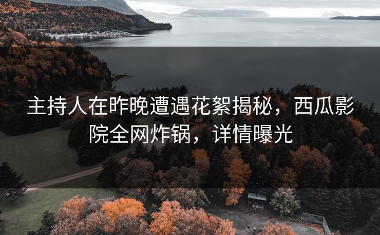 主持人在昨晚遭遇花絮揭秘，西瓜影院全网炸锅，详情曝光